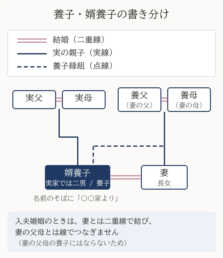 家系図での書き分け。結婚は二重線、実の親子は実線、養子縁組は点線。婿養子に入った人は、実の父母と実線で、妻の父母(養父母)と点線でつながり、妻とは二重線で結ばれる。続柄は「養子」と書き、実家では「二男」などの生まれ順を書く